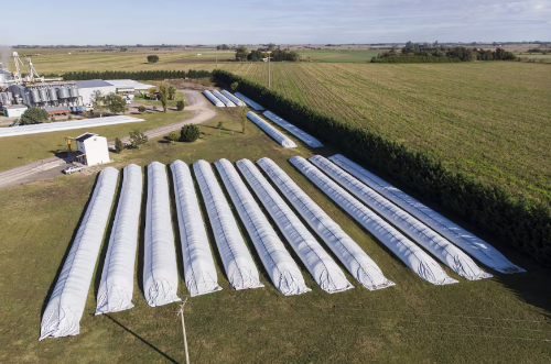 “El problema no fue productivo”: los seis indicadores que hoy definen el éxito de una empresa agropecuaria